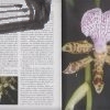 orchidey v byte1