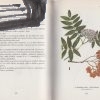 atlas liecivych rastlin 1975 – antikvariat stary svet 2