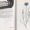 atlas liecivych rastlin 1988 – antikvariat stary svet 1