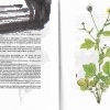maly atlas liecivych rastlin – antikvariat stary svet 1