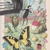 knizka o ferdovi mravcovi – antikvariat stary svet
