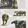 slony – antikvariat stary svet 1