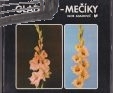 gladioly – meciky