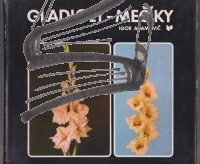 gladioly – meciky