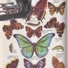 the childrens animal world encyclopedia in colour – antikvariat stary svet 2