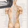 anatomical atlas of chinese acupuncture points – antikvariat stary svet