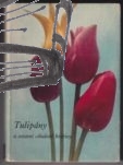 tulipany a ostatni cibulove kvetiny