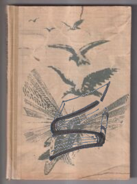 cesta slepych vtakov – soucek