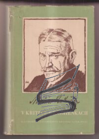 martin kukucin v kritike a spomienkach