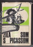 zila som s picassom