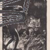 kniha dzungli – 1957 – burian – antikvariat stary svet