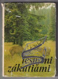 lesnymi zakutiami lesnymi zakutiami