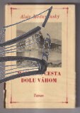malebna cesta dolu vahom